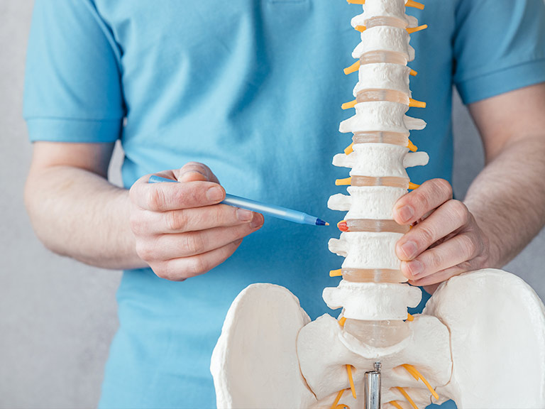 img-chiropractic-sarasota